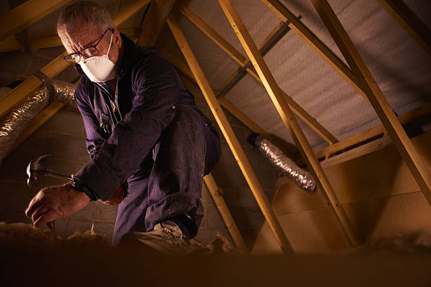 Types of Insulation We Offer in Ashdown, AR