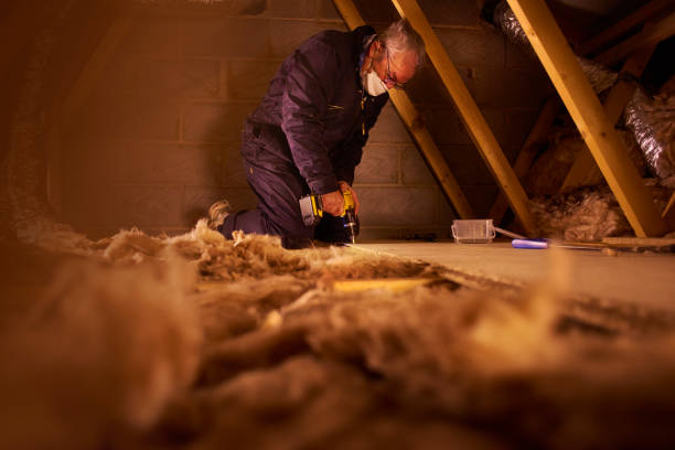 Best Residential Insulation in Ashdown, AR
